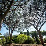 Pineta