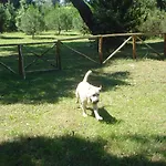 Aparthotel Pineta 4*