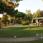 Pineta