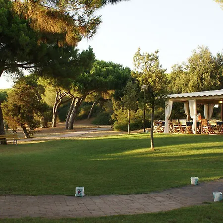 Pineta