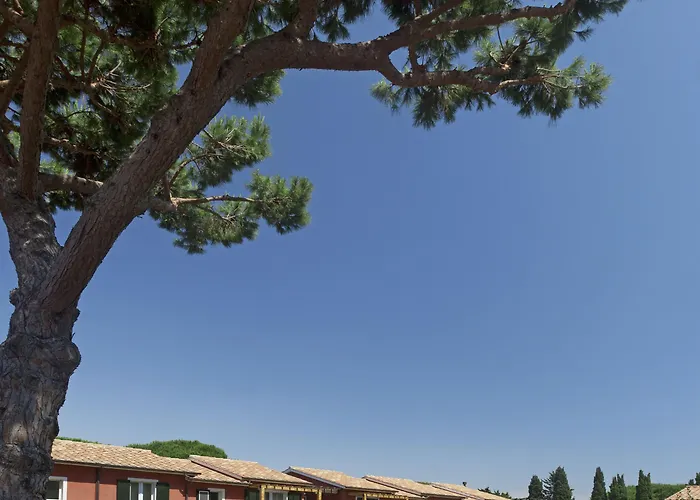 아파트호텔 Pineta 3*