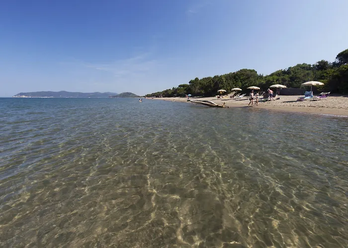 아파트호텔 Pineta